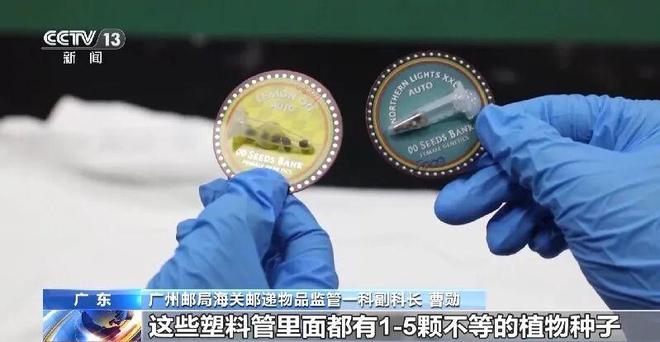 ”？任你千变万化也难逃法网AG真人申报家